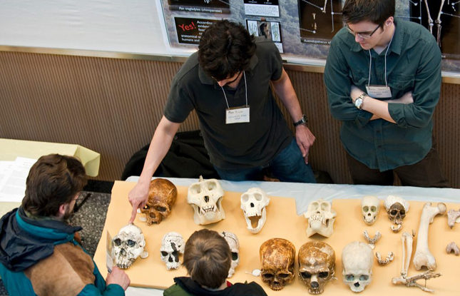 Anthropology Collections Slideshow1 645X415
