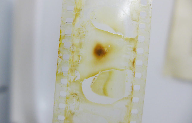 Nitrate Film Slideshow 645X415